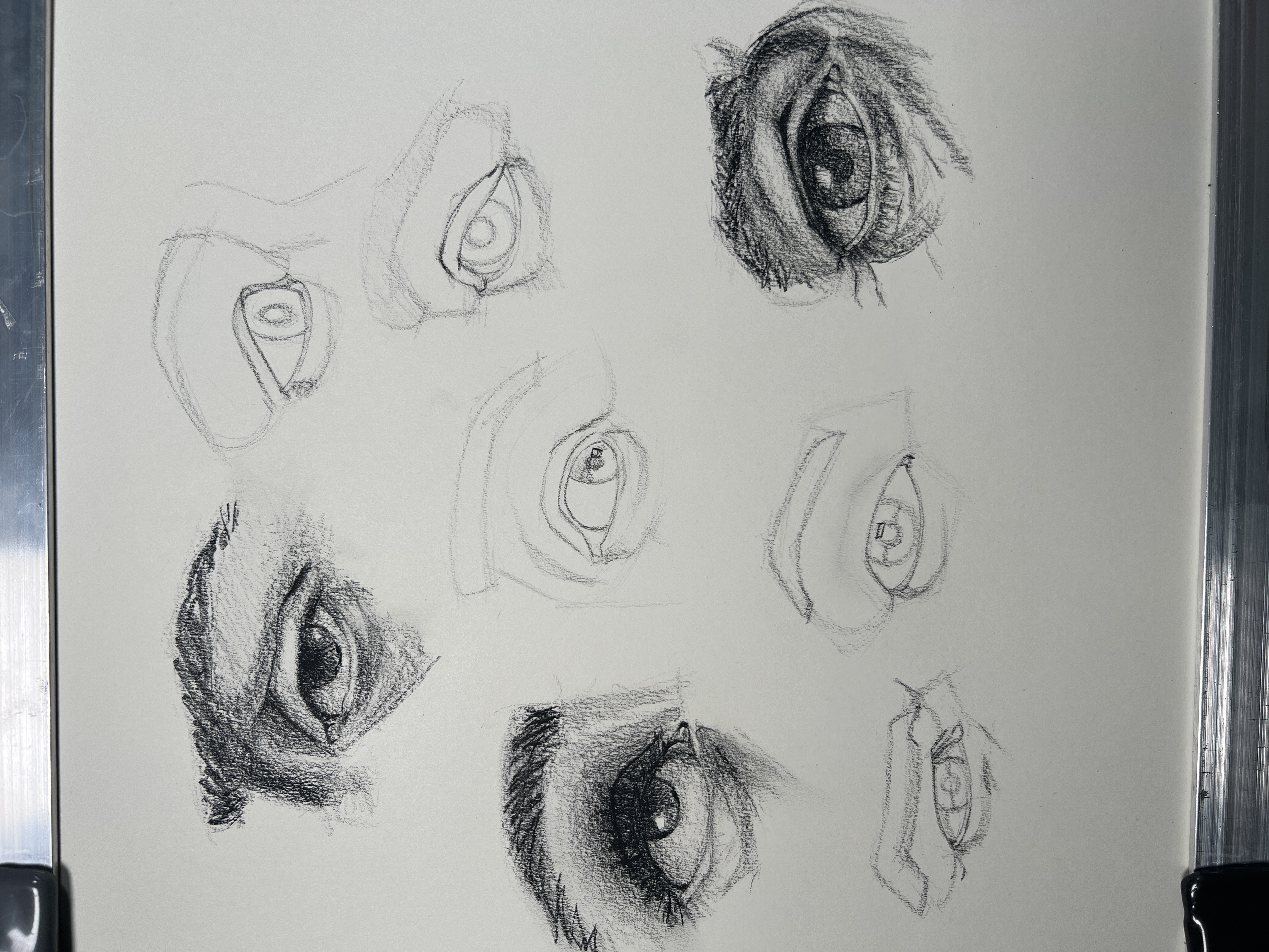 Eye construction study drawing
