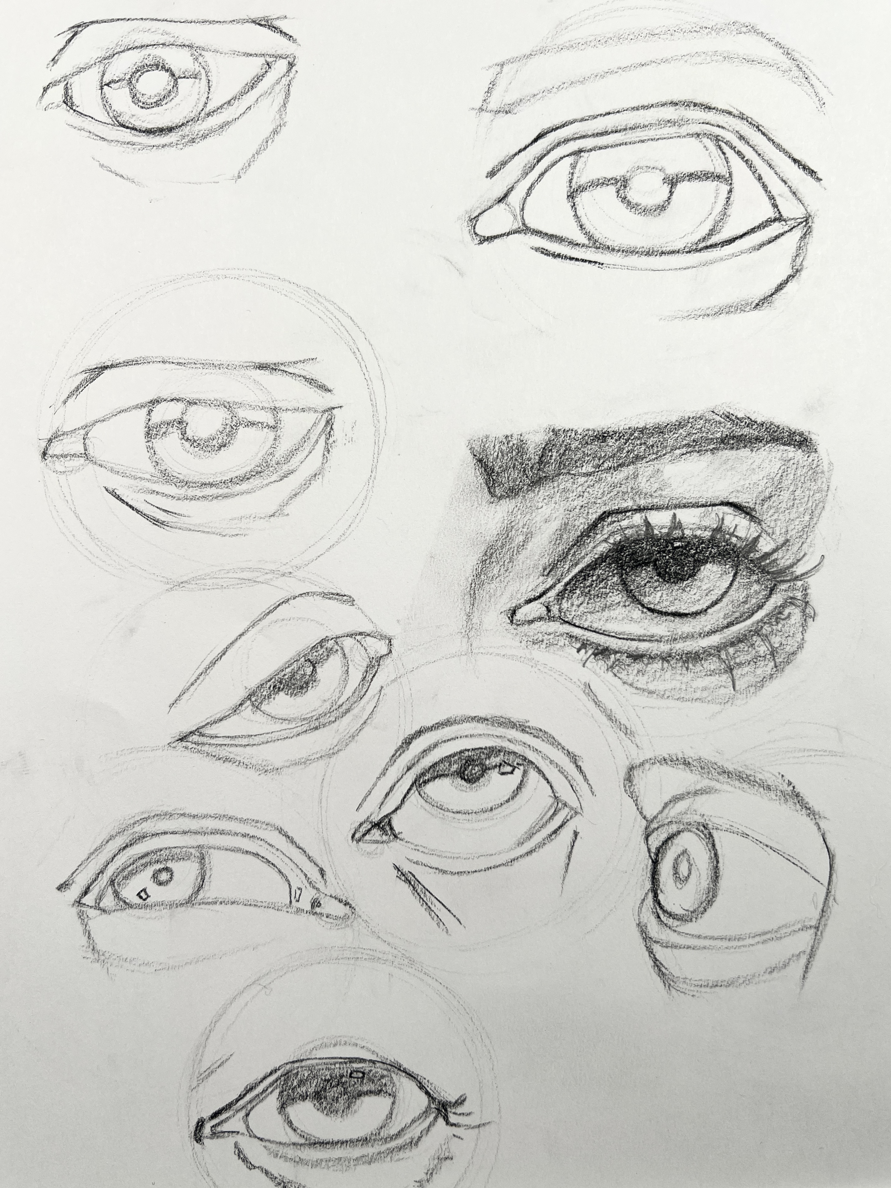 Eye proportion study drawing