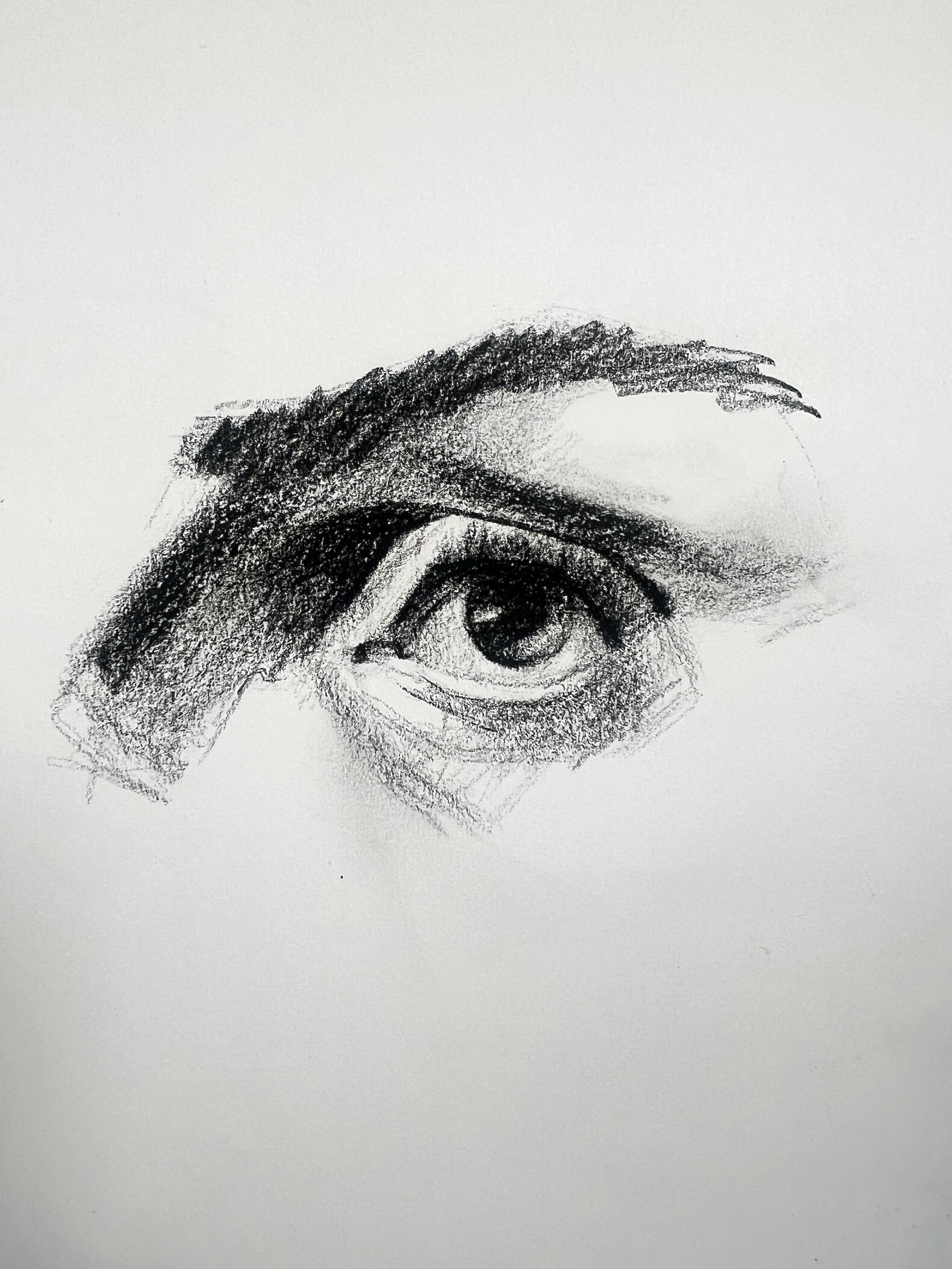 Portrait structure study drawing