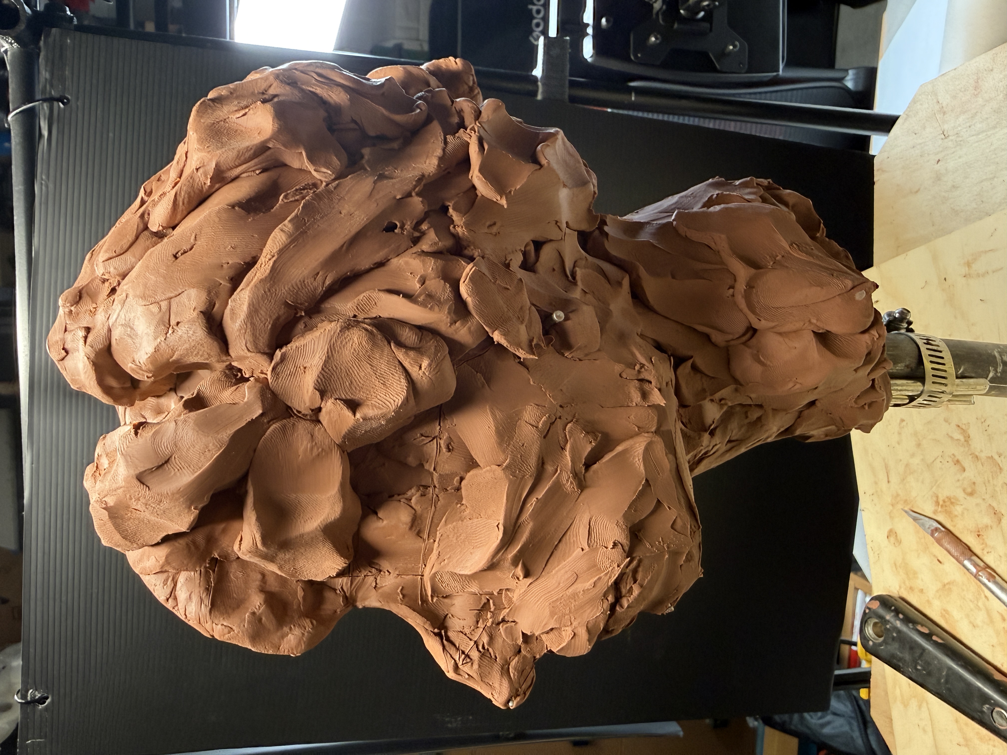 Portrait sculpture process progress
