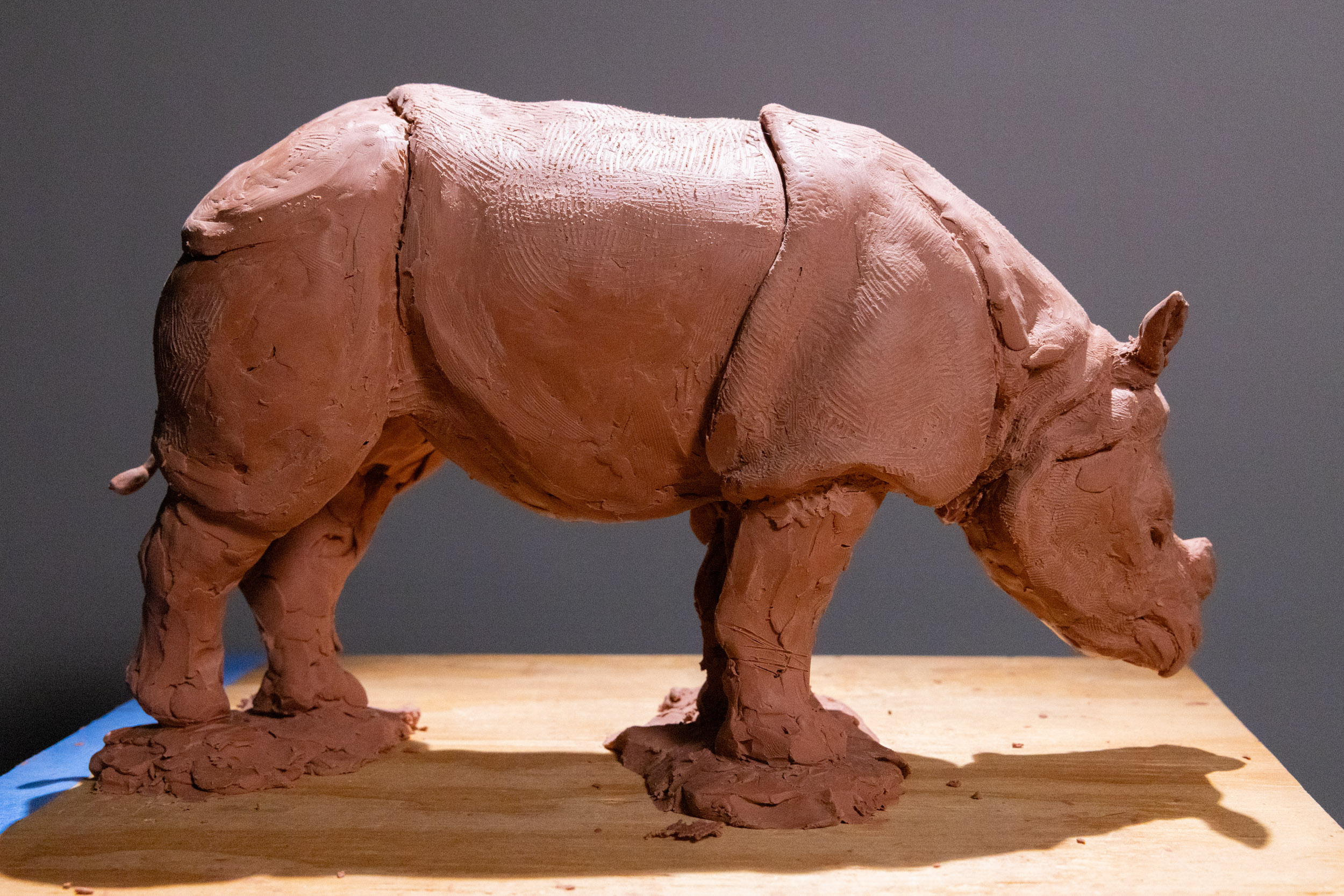 Rhino clay sculpture study close-up view