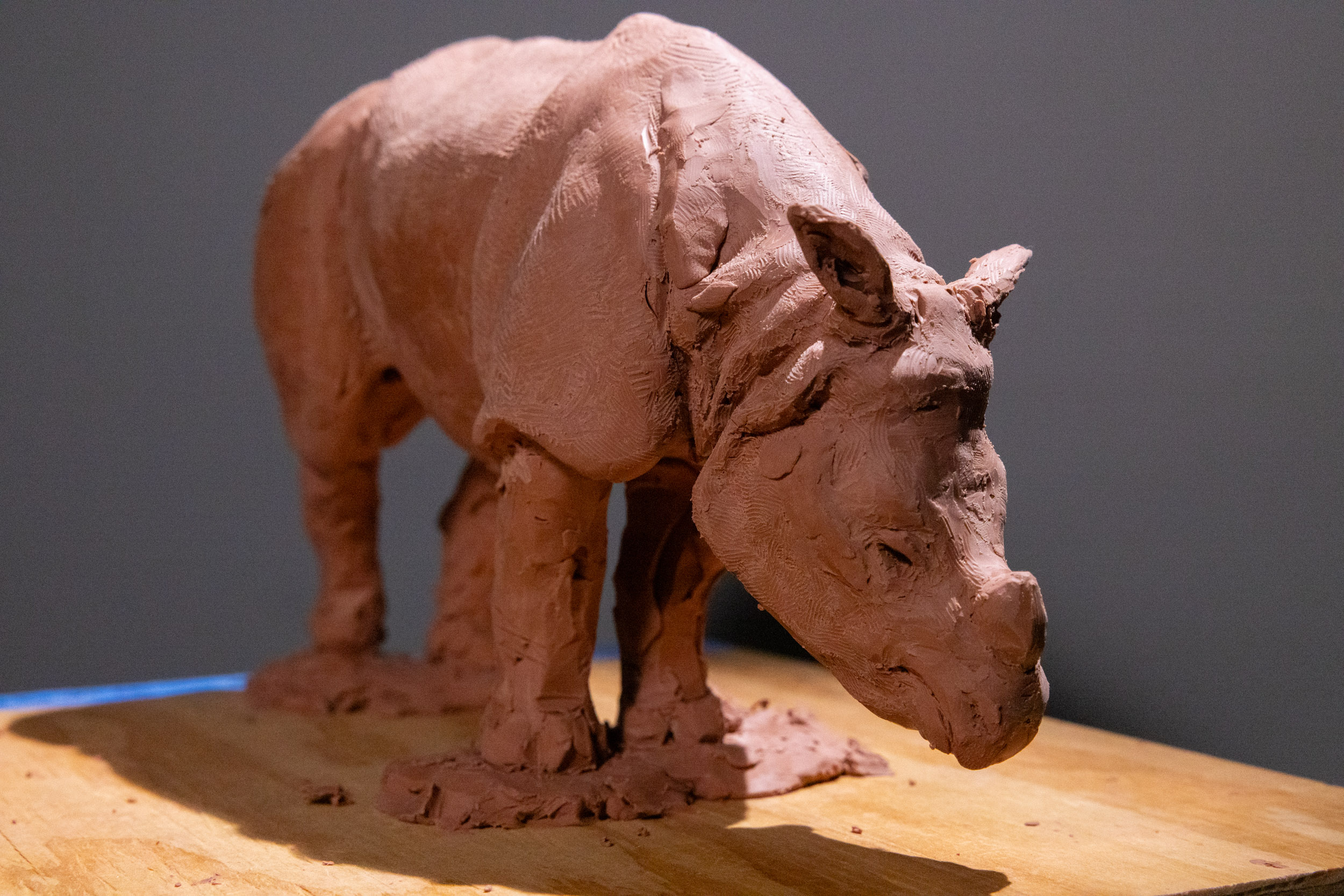 Rhino clay sculpture study profile