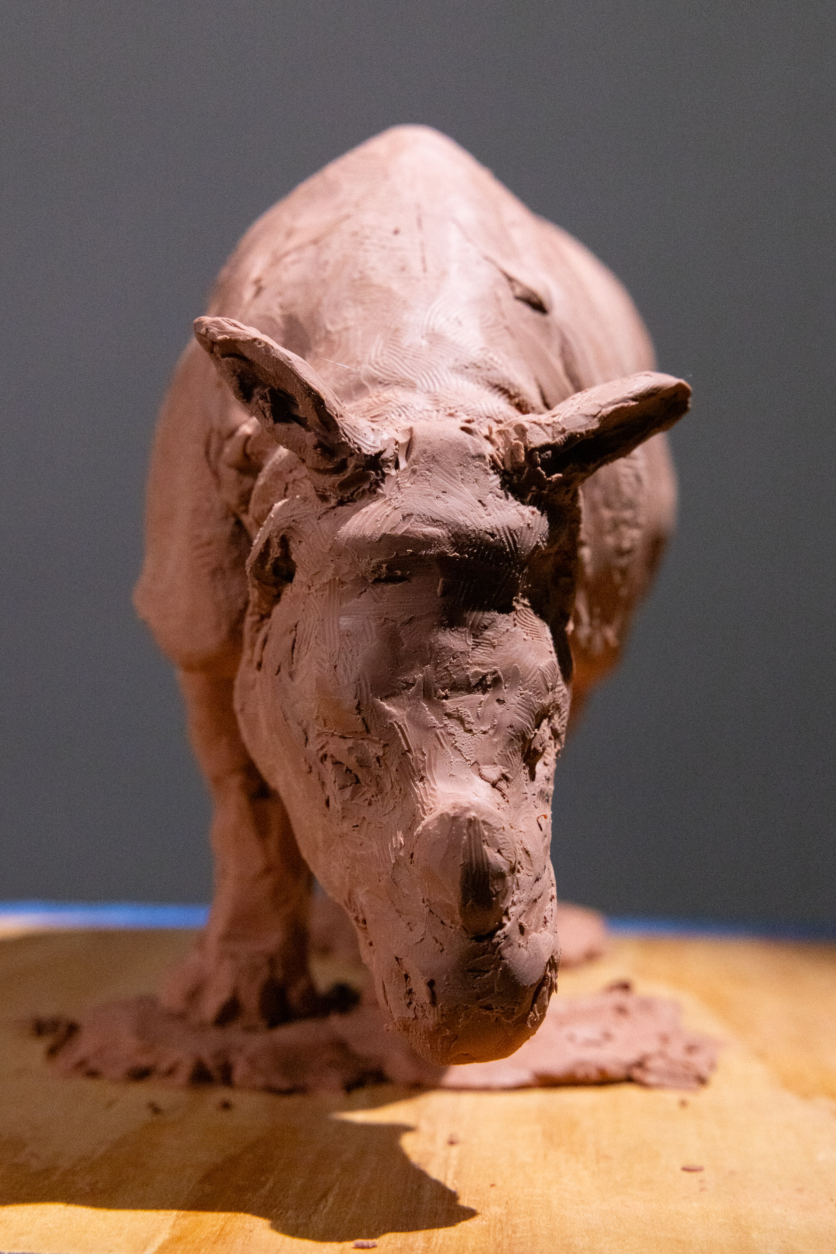 Rhino clay sculpture study side view