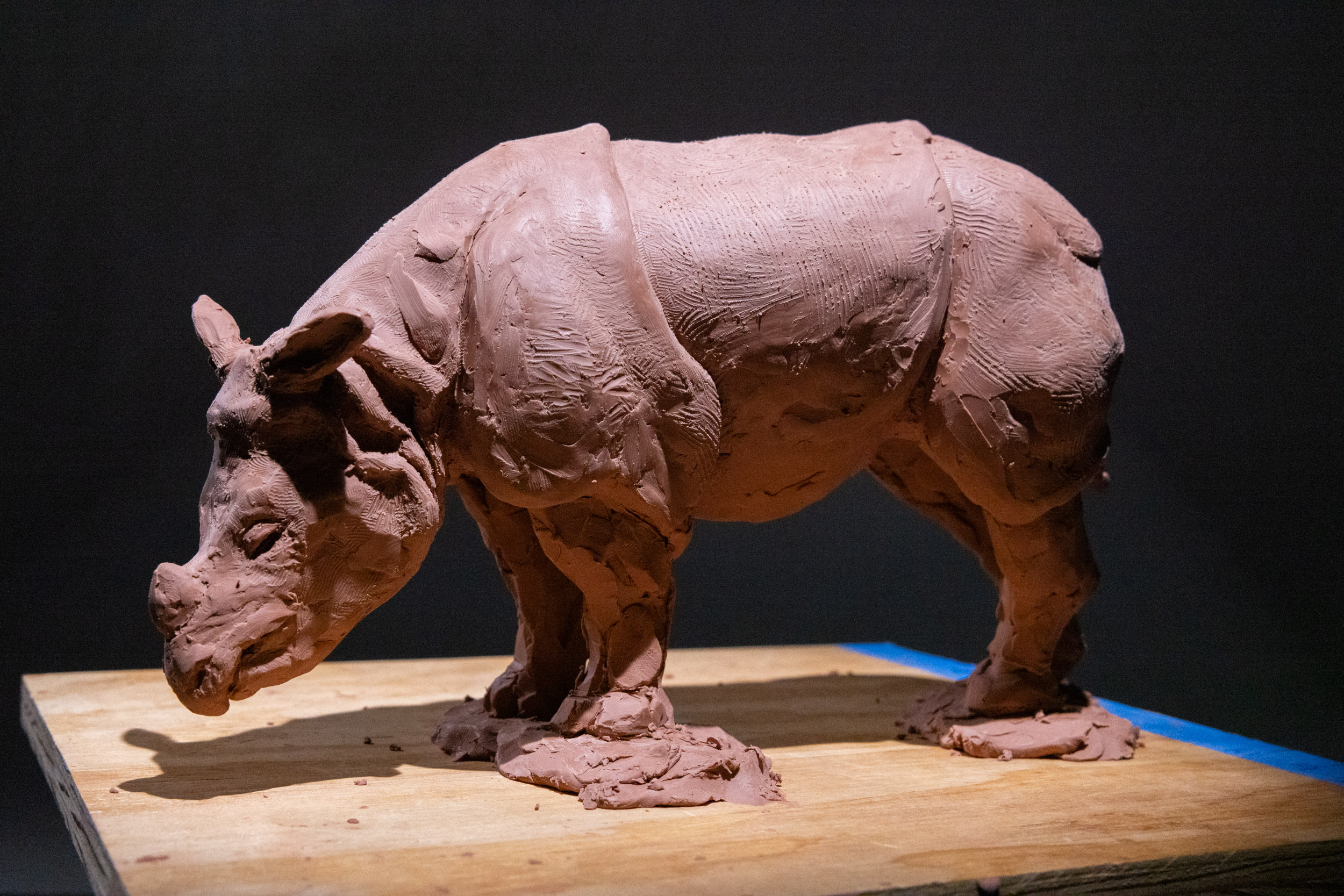 Rhino clay sculpture study detail