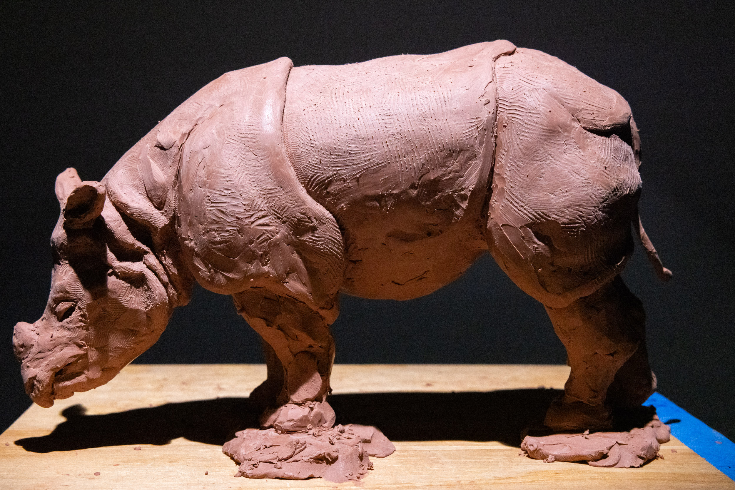 Rhino clay sculpture study form detail