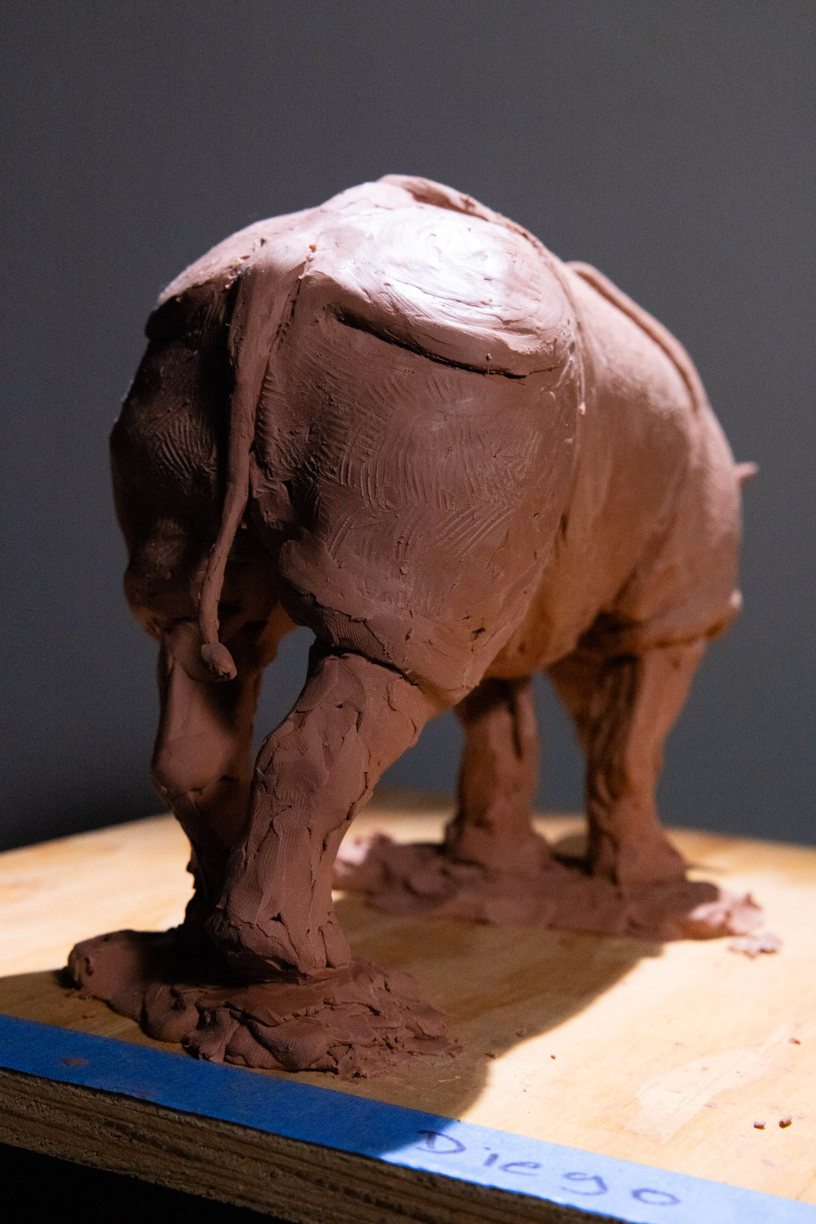 Rhino clay sculpture study frontal view