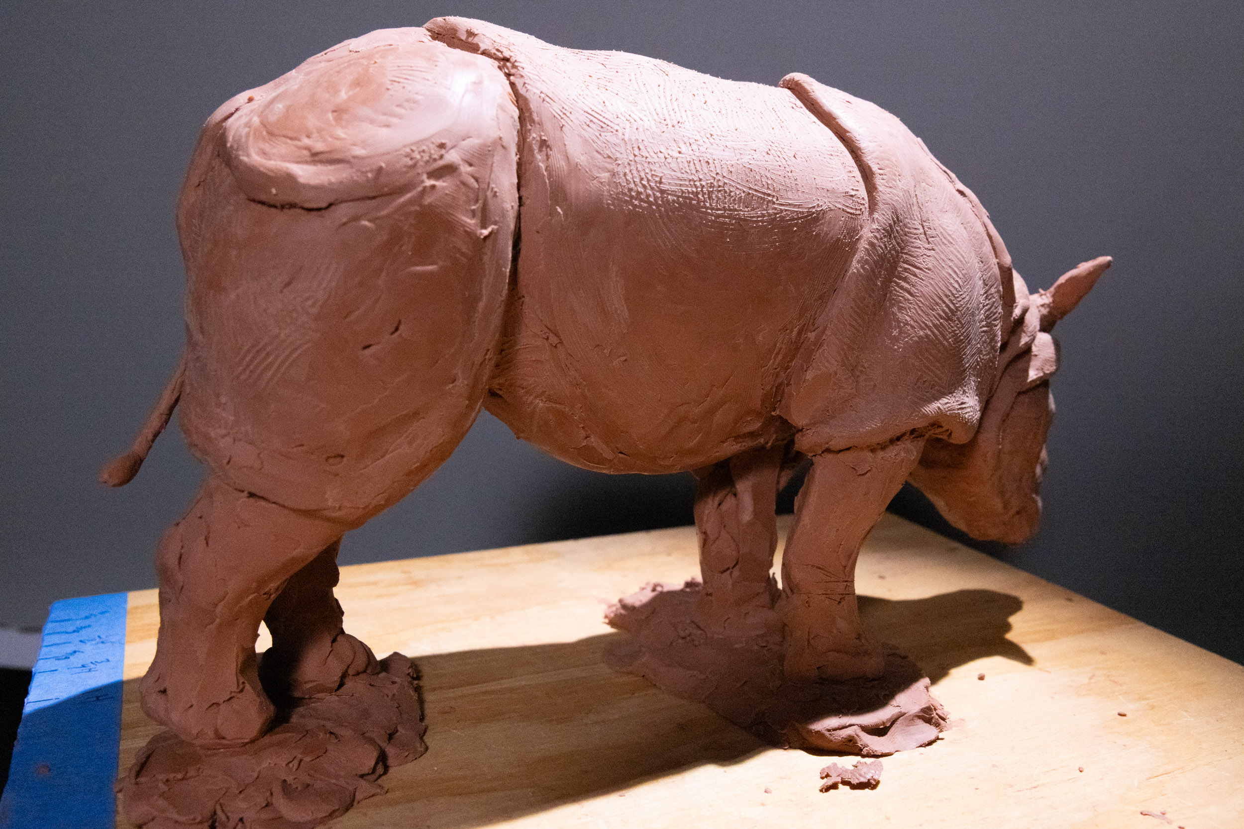 Rhino clay sculpture study standing profile
