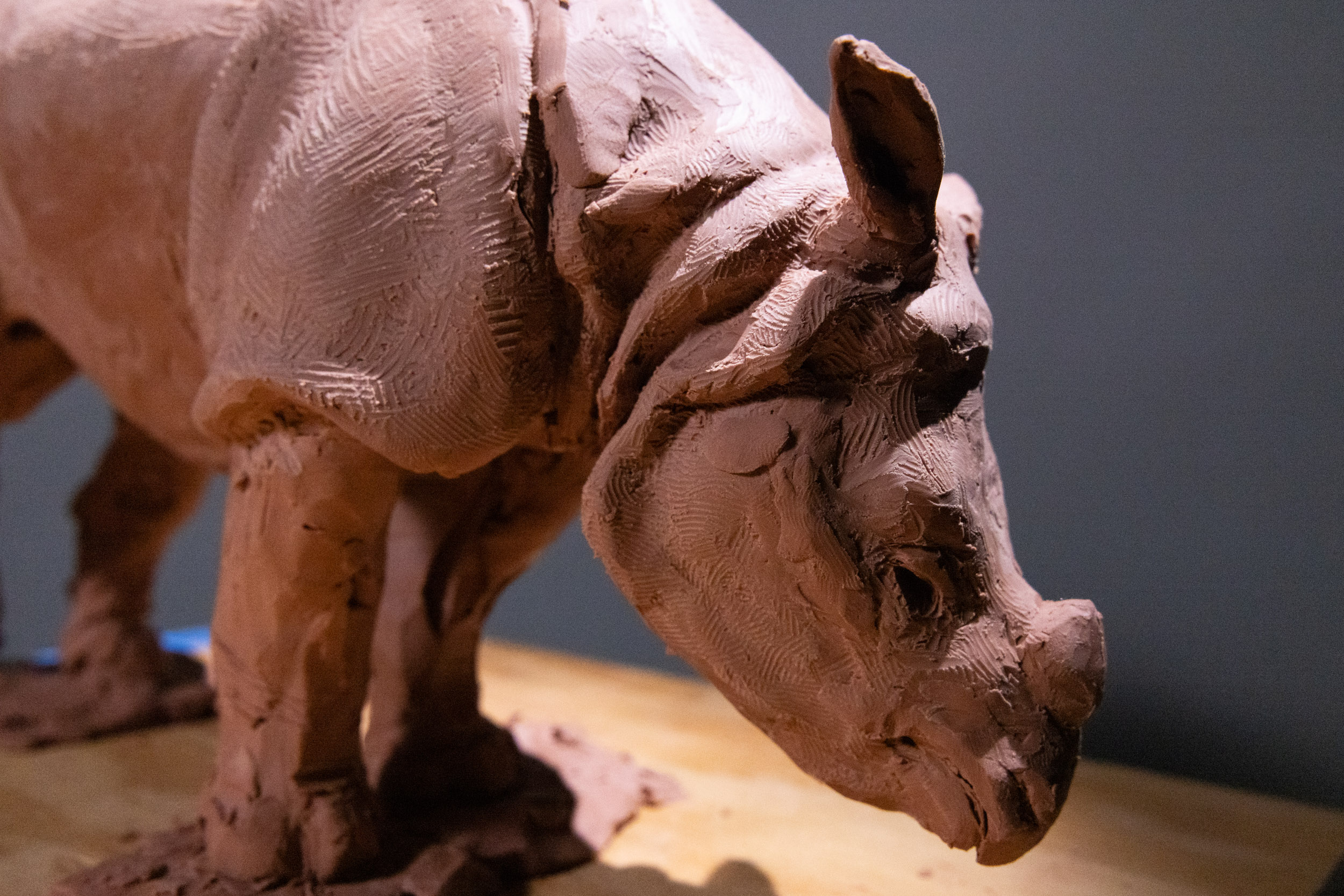Rhino clay sculpture study surface detail