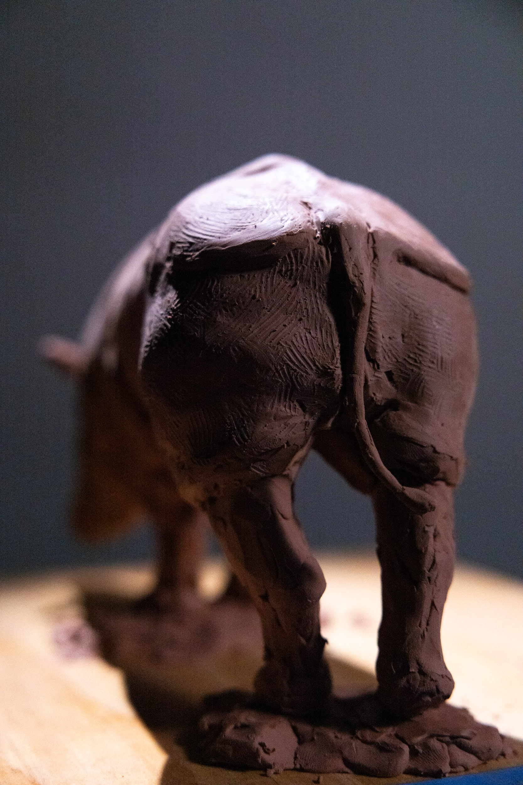 Rhino clay sculpture study sculpture angle