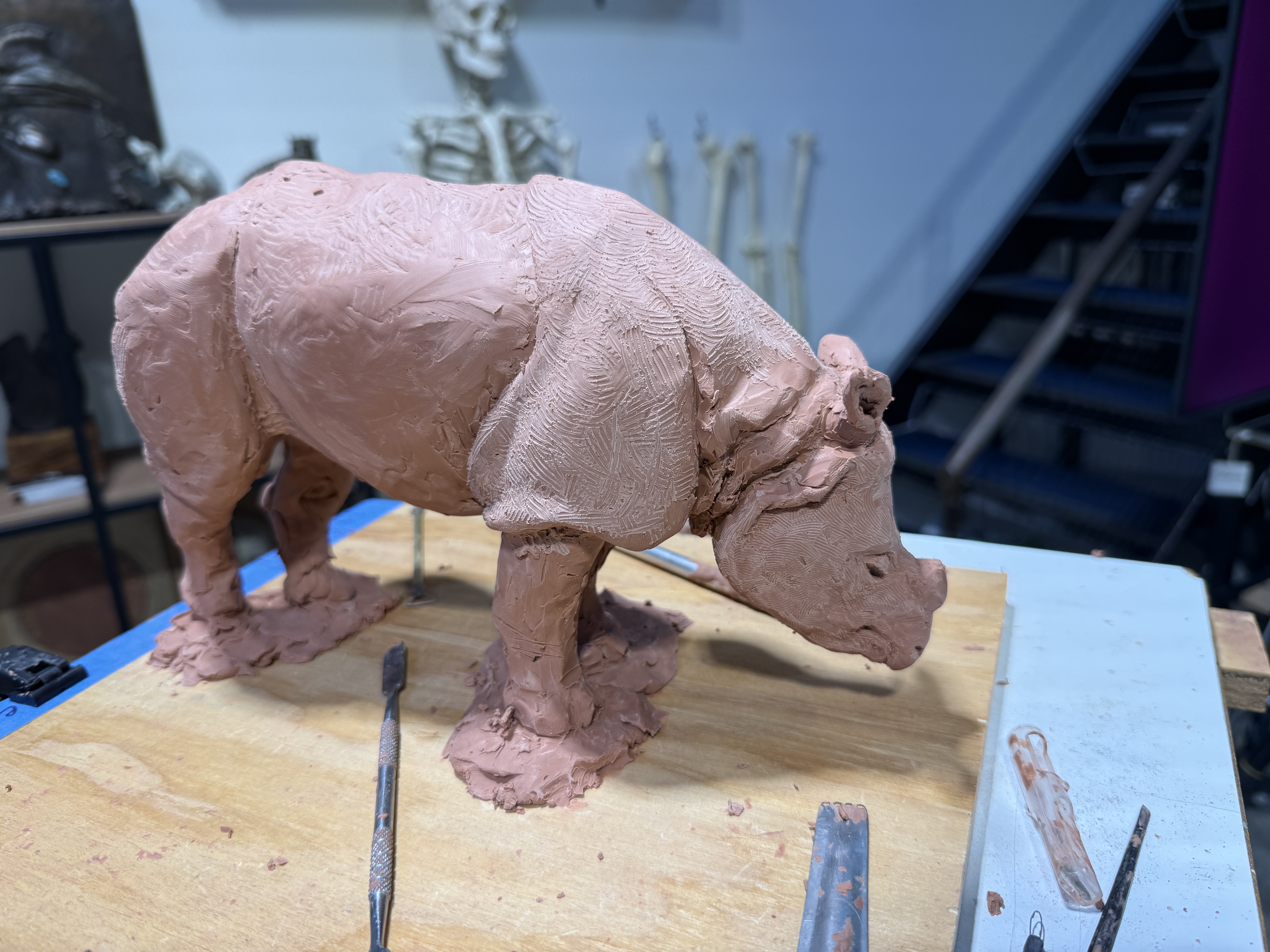 Rhino clay sculpture study process